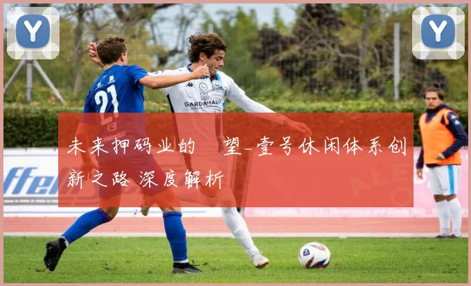 未来押码业的瞭望_壹号休闲体系创新之路 深度解析