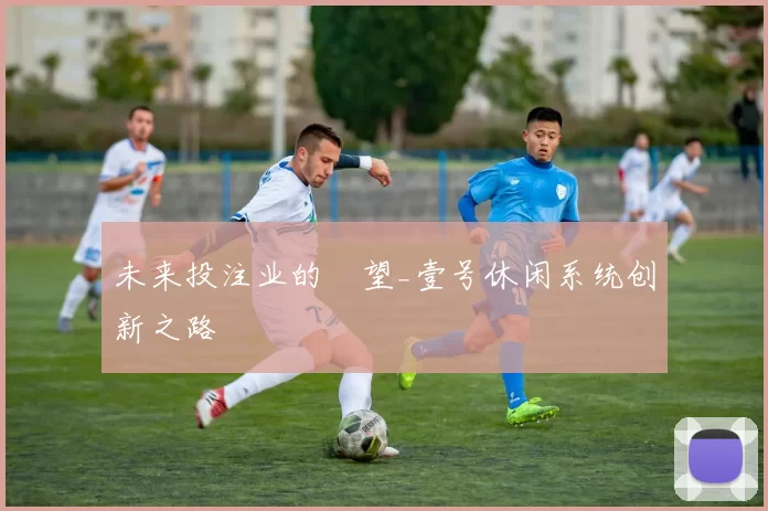 未来投注业的瞭望_壹号休闲系统创新之路