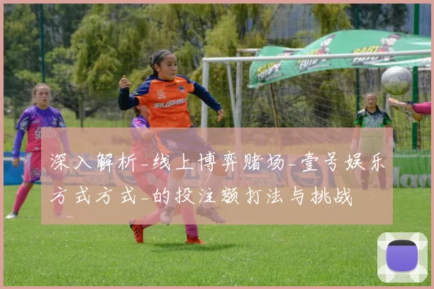 深入解析_线上博弈赌场_壹号娱乐方式方式_的投注额打法与挑战