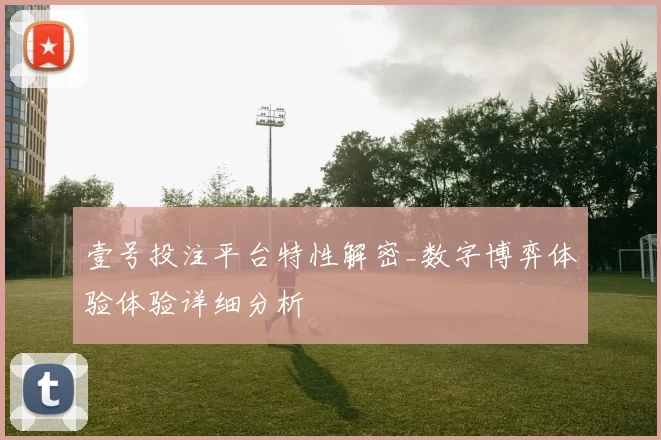 壹号投注平台特性解密_数字博弈体验体验详细分析