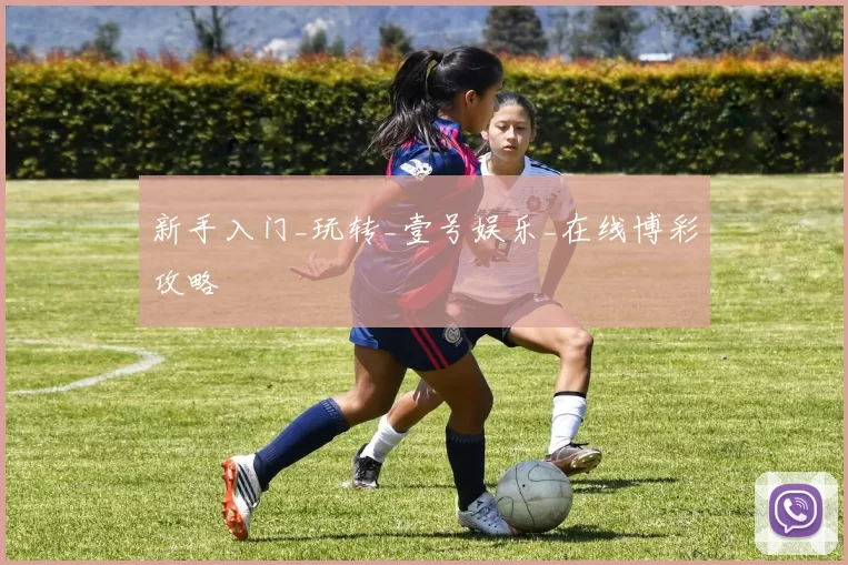 新手入门_玩转_壹号娱乐_在线博彩攻略