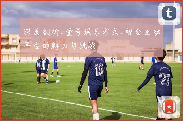 深度剖析_壹号娱乐方式_综合互动平台的魅力与挑战