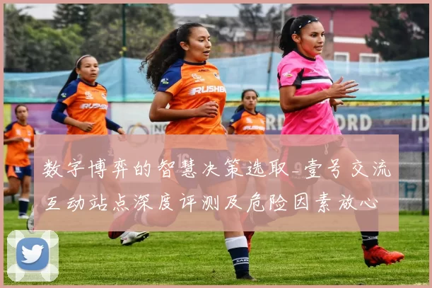 数字博弈的智慧决策选取_壹号交流互动站点深度评测及危险因素放心进行操作手册